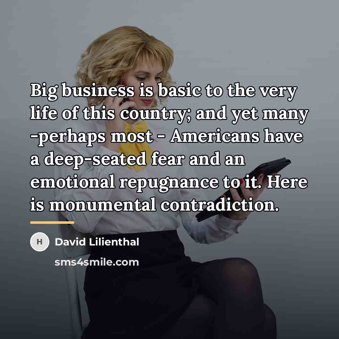 “Big business is basic to the very life of this…” quote by David Lilienthal