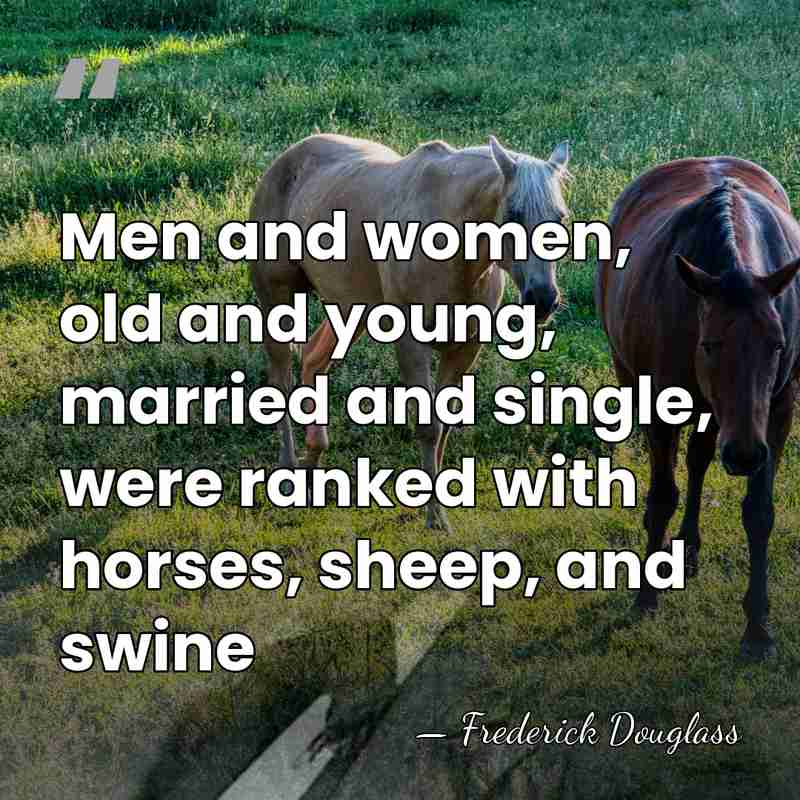 Men and women, old and young, married and single, were ranked with&hellip; - Frederick Douglass
