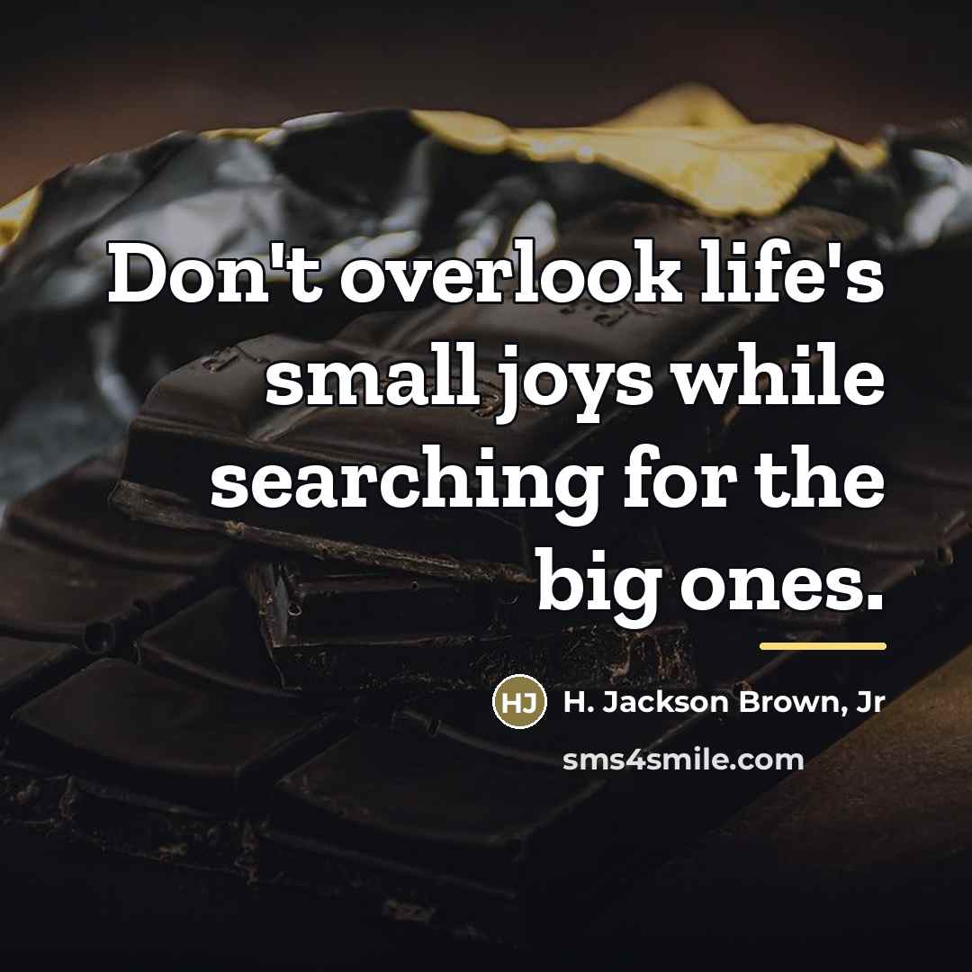“Don't overlook life's small joys while searching for the big…” quote by H. Jackson Brown, Jr