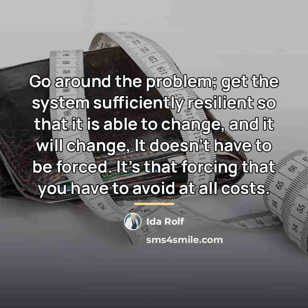 “Go around the problem; get the system sufficiently resilient so…” quote by Ida Rolf
