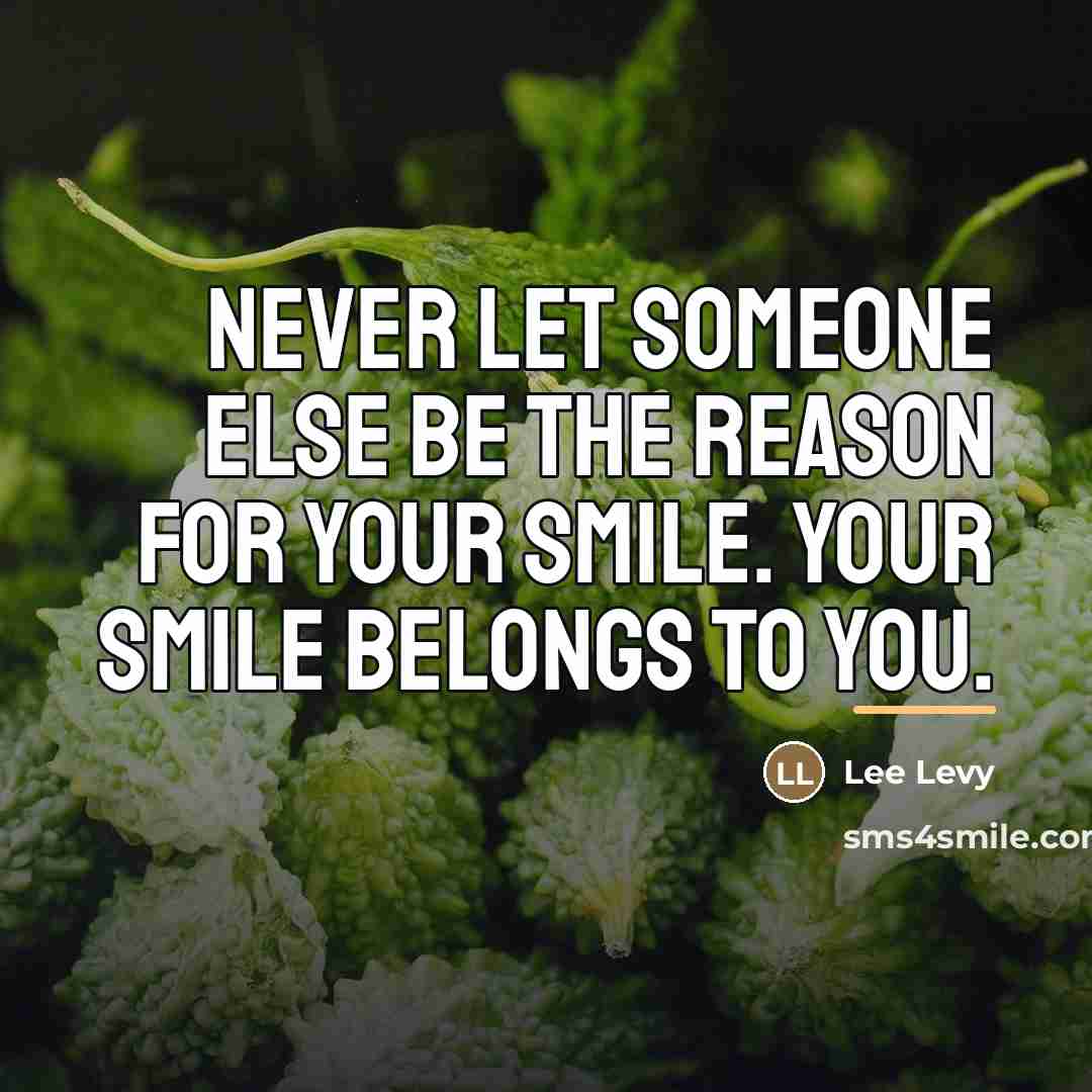 “Never let someone else be the reason for your smile.…” quote by Lee Levy