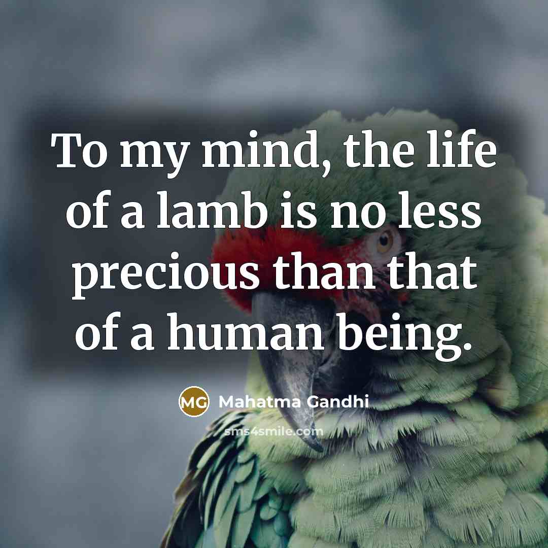 “To my mind, the life of a lamb is no…” quote by Mahatma Gandhi