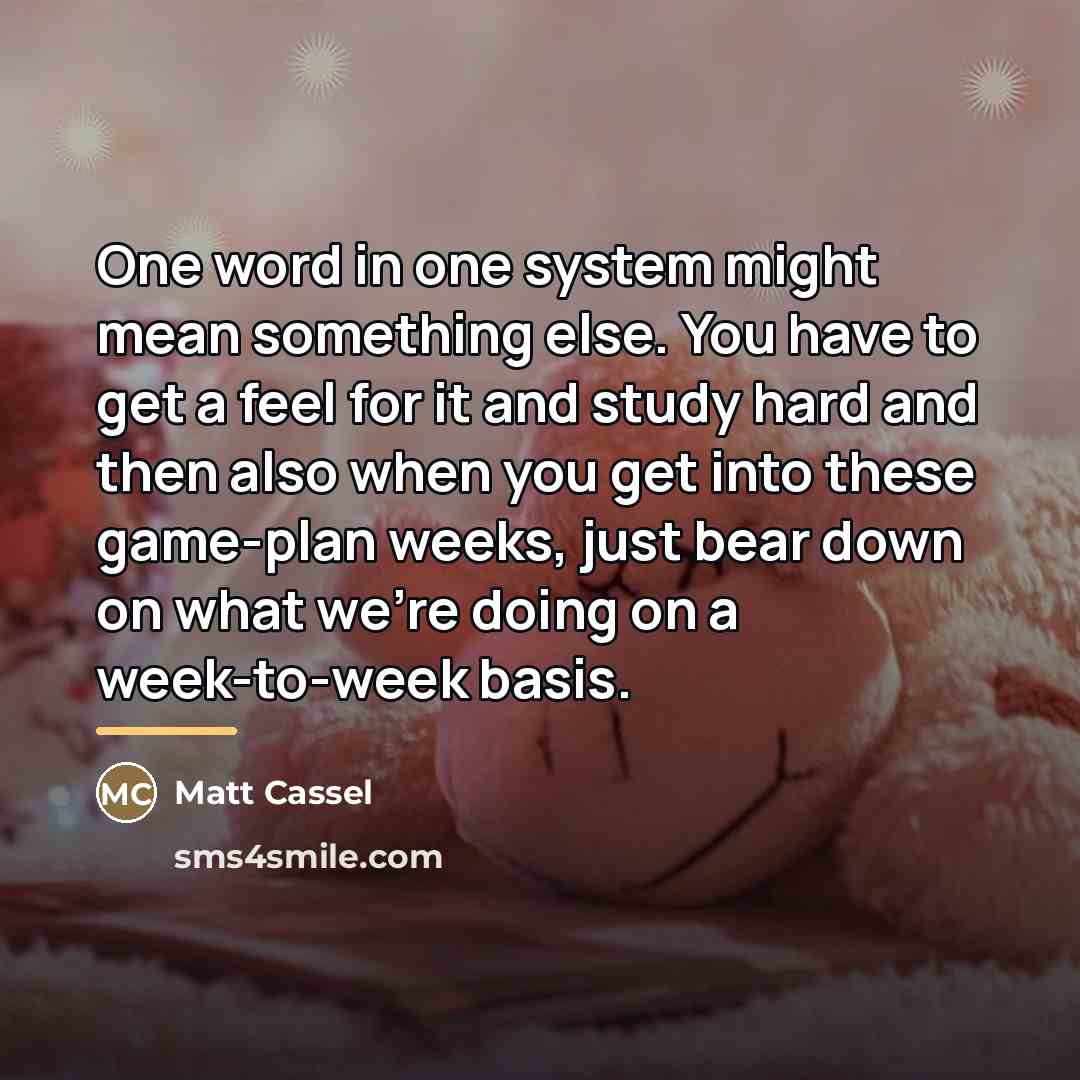 “One word in one system might mean something else. You…” quote by Matt Cassel