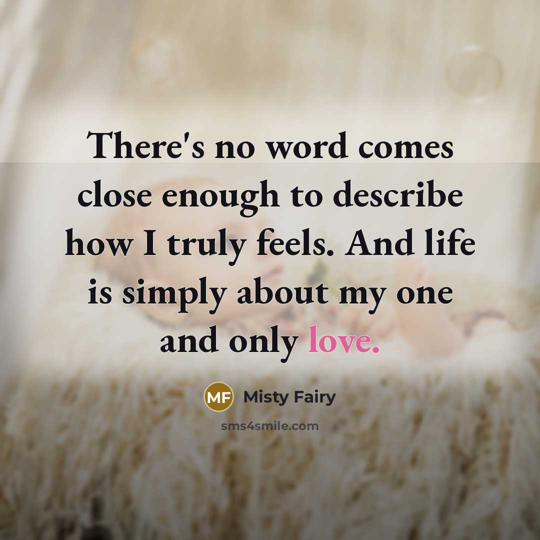 “There's no word comes close enough to describe how I…” quote by Misty Fairy