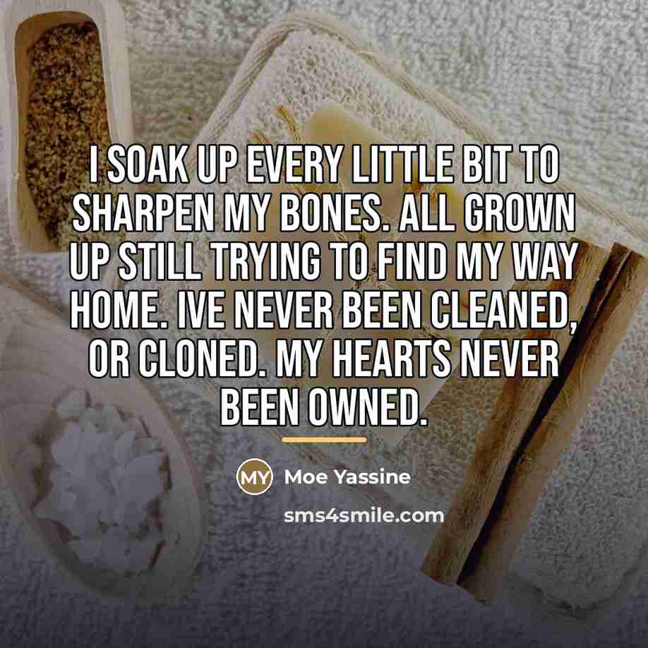 “I soak up every little bit to sharpen my bones.…” quote by Moe Yassine