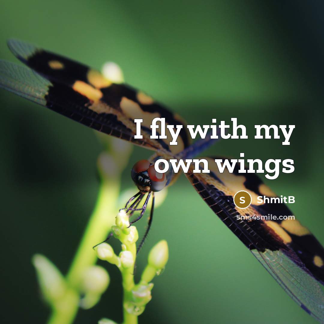 “I fly with my own wings…” quote by ShmitB