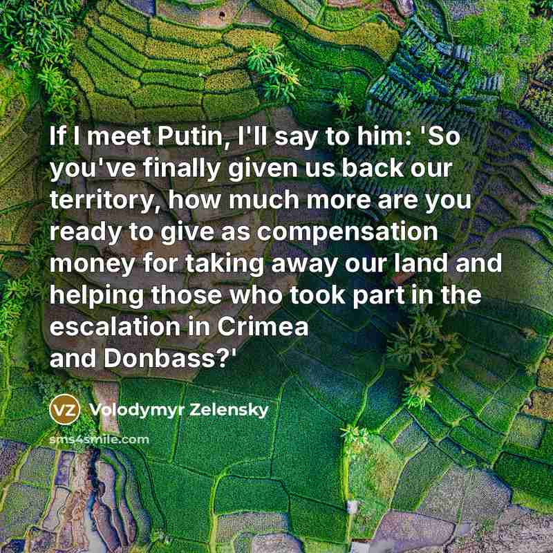 “If I meet Putin, I'll say to him: 'So you've…” quote by Volodymyr Zelensky