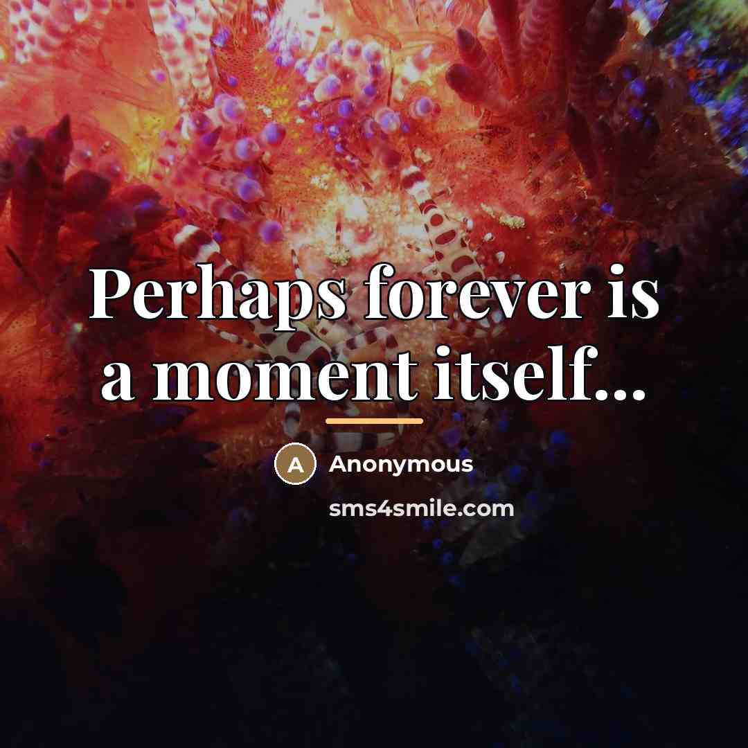 “Perhaps forever is a moment itself...…” quote by Anonymous
