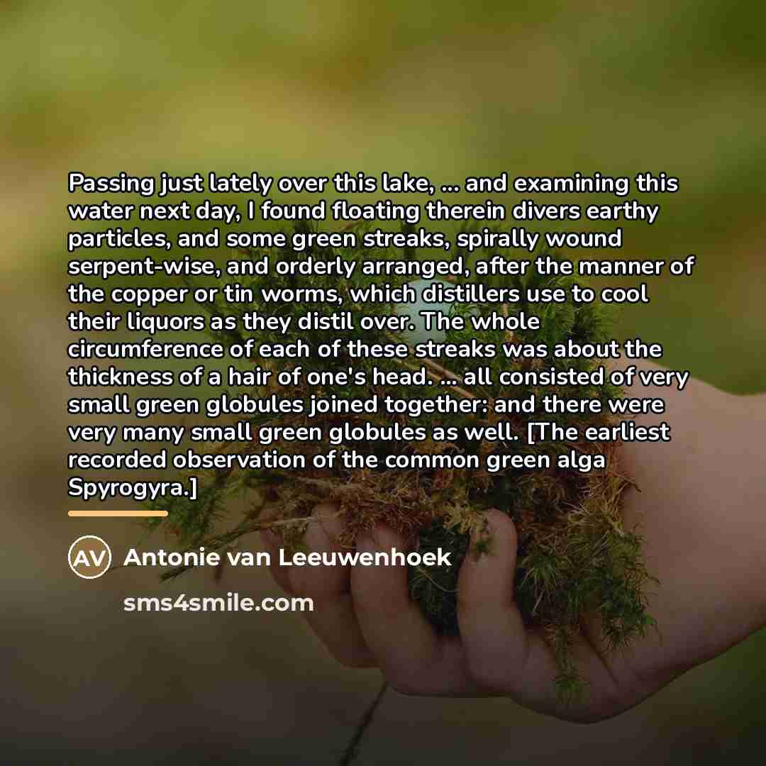 “Passing just lately over this lake, ... and examining this…” quote by Antonie van Leeuwenhoek