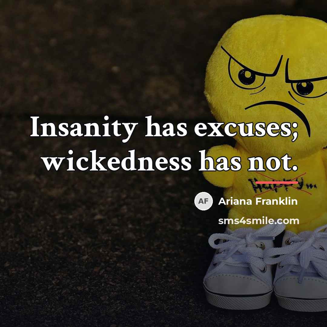“Insanity has excuses; wickedness has not.…” quote by Ariana Franklin
