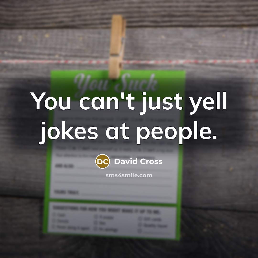 “You can't just yell jokes at people.” quote by David Cross