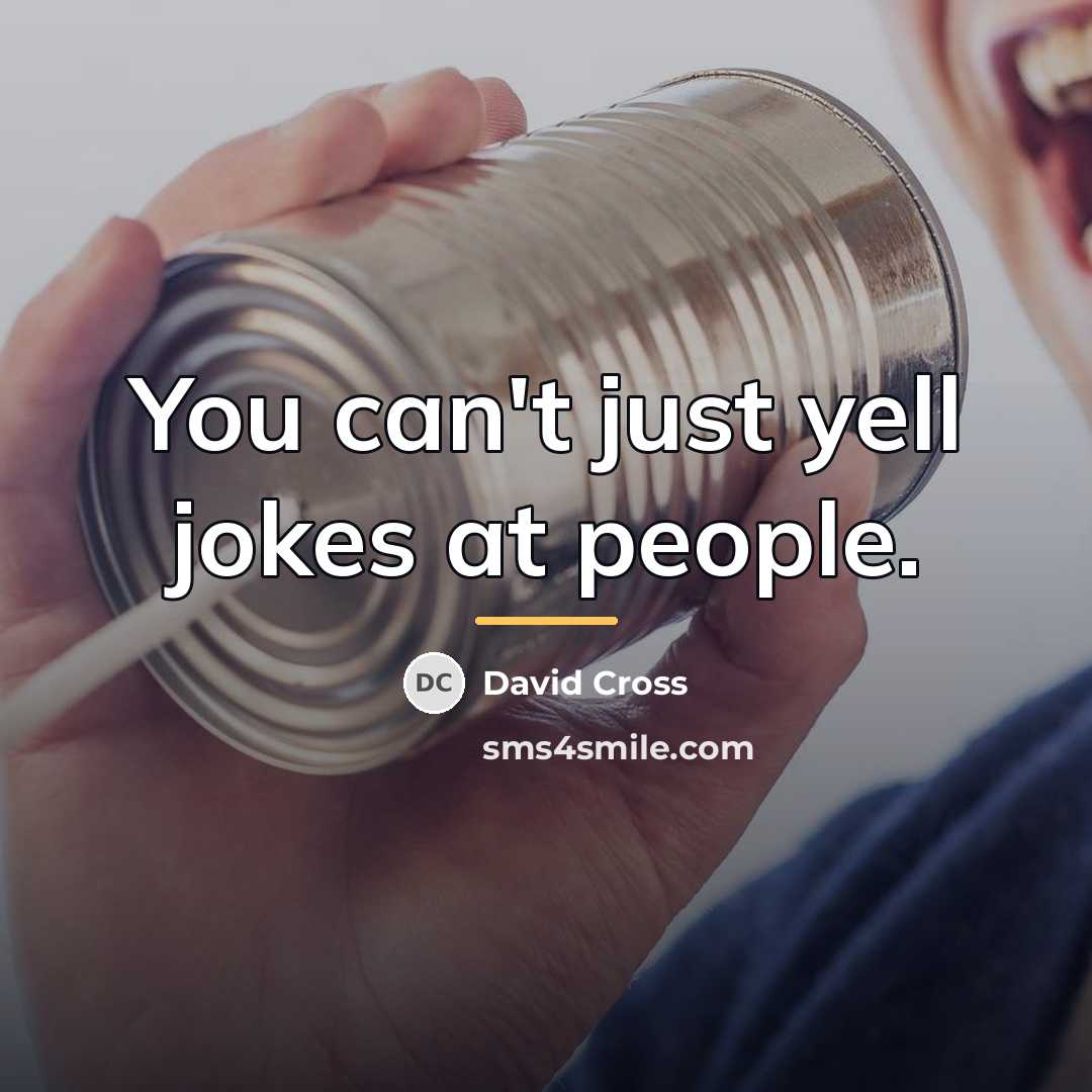 “You can't just yell jokes at people.…” quote by David Cross