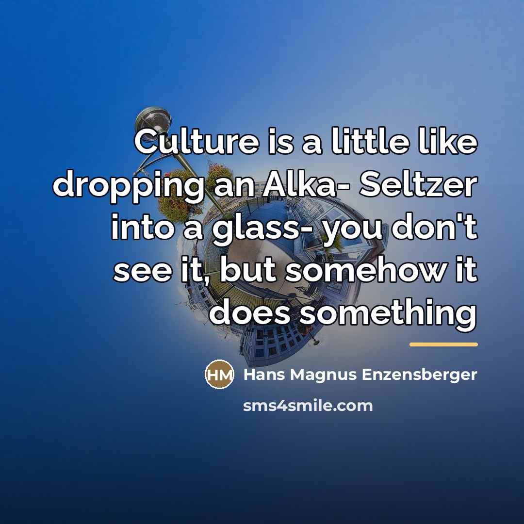 “Culture is a little like dropping an Alka- Seltzer into…” quote by Hans Magnus Enzensberger