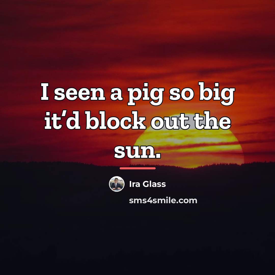“I seen a pig so big it’d block out the…” quote by Ira Glass