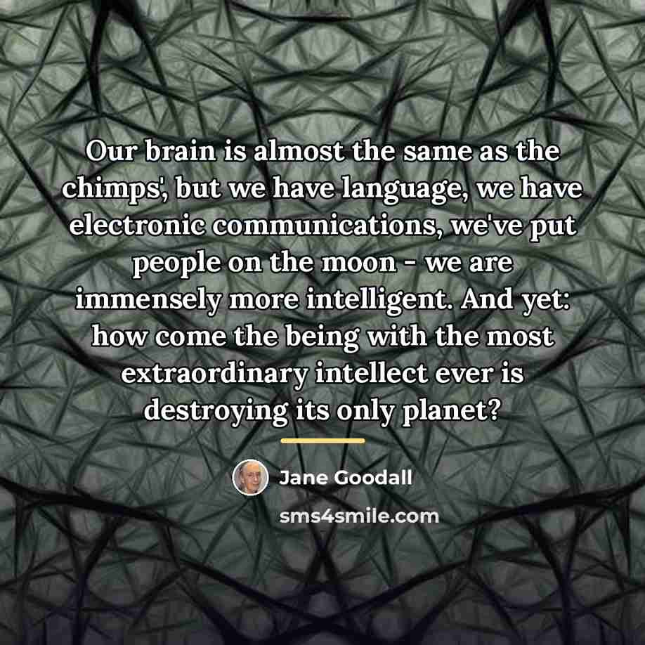 “Our brain is almost the same as the chimps', but…” quote by Jane Goodall