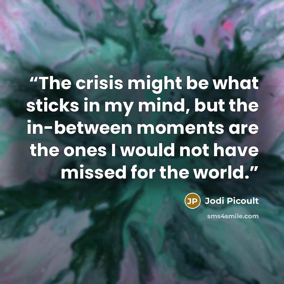 “The crisis might be what sticks in my mind, but the in-between moments are the ones I would not have missed for the world.” quote by Jodi Picoult