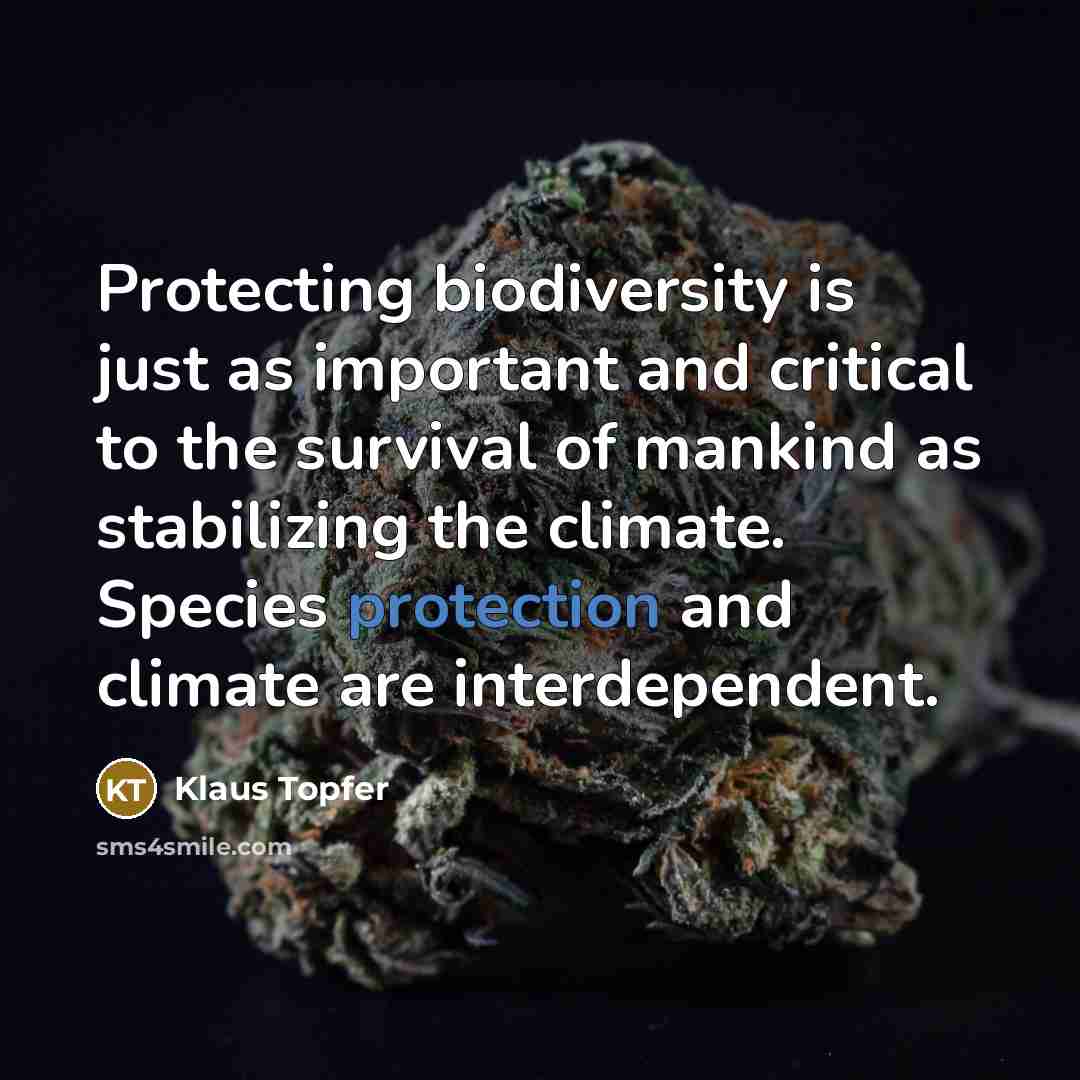 “Protecting biodiversity is just as important and critical to the…” quote by Klaus Topfer