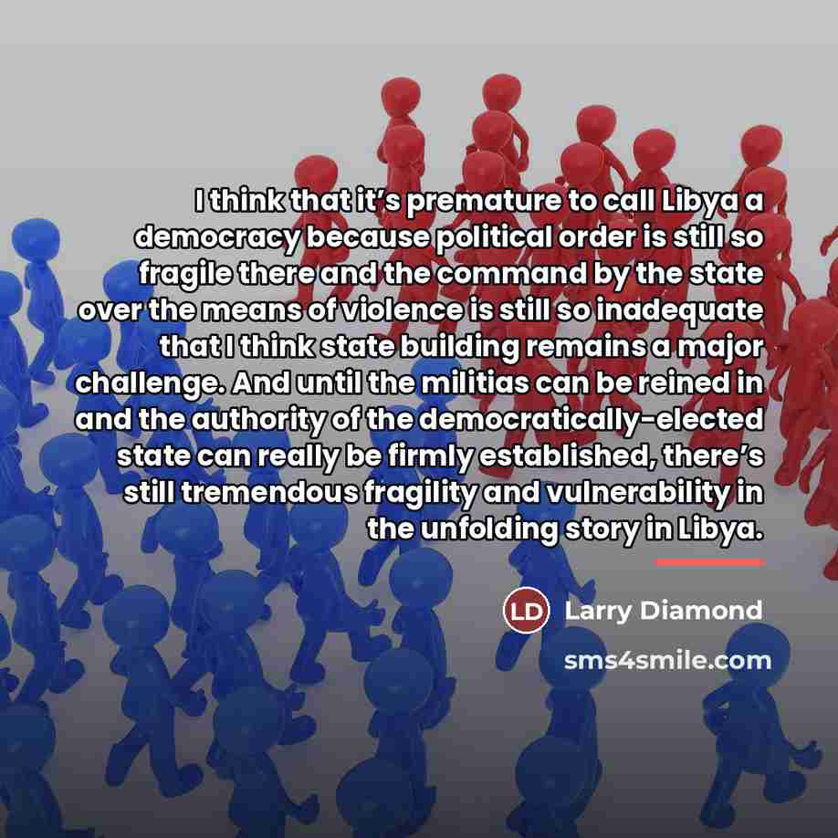 “I think that it’s premature to call Libya a democracy…” quote by Larry Diamond