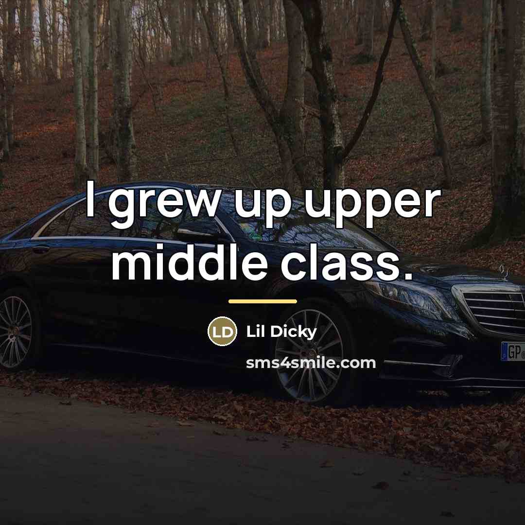 “I grew up upper middle class.…” quote by Lil Dicky