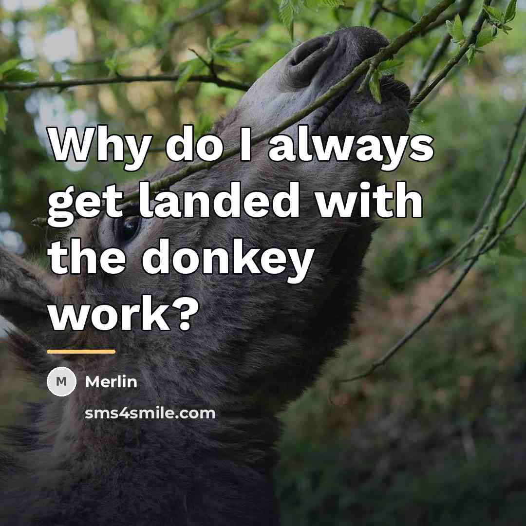 “Why do I always get landed with the donkey work?…” quote by Merlin