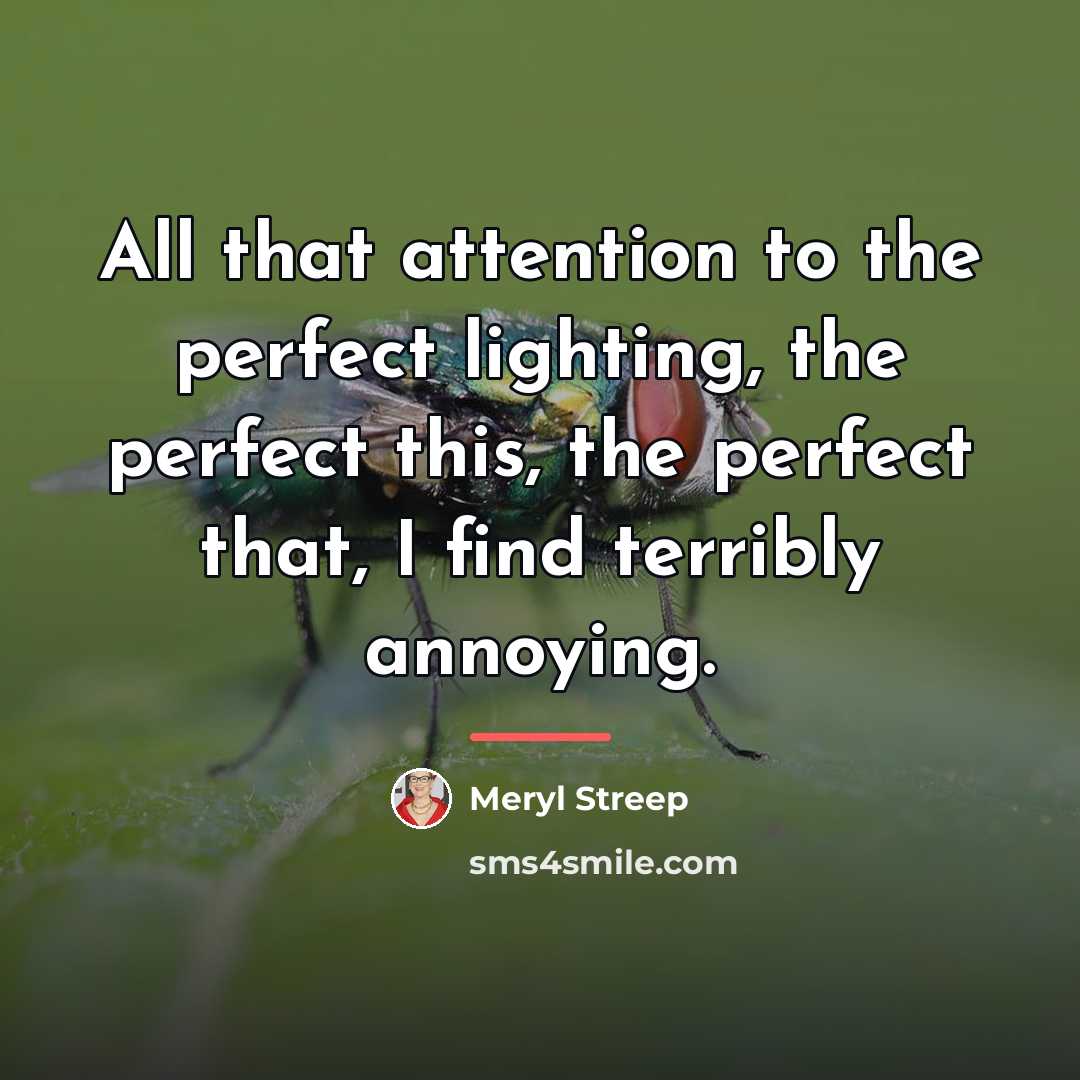 “All that attention to the perfect lighting, the perfect this,…” quote by Meryl Streep