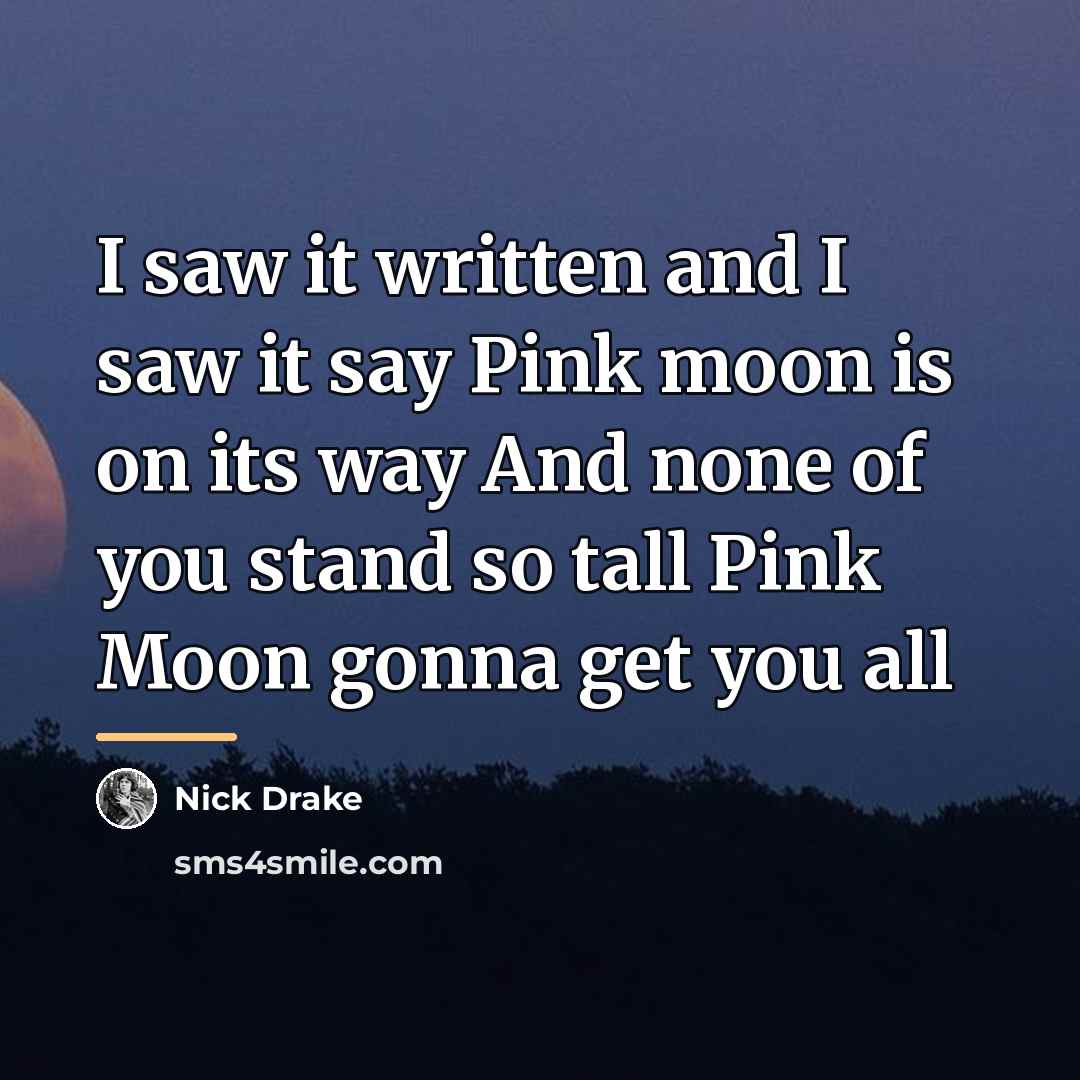 “I saw it written and I saw it say Pink…” quote by Nick Drake
