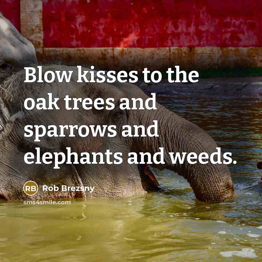 “Blow kisses to the oak trees and sparrows and elephants…” quote by Rob Brezsny