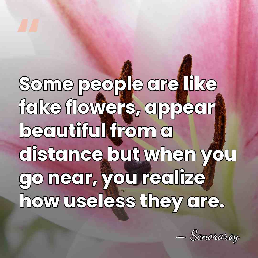 Some people are like fake flowers, appear beautiful from a distance but&hellip; - Senoraroy