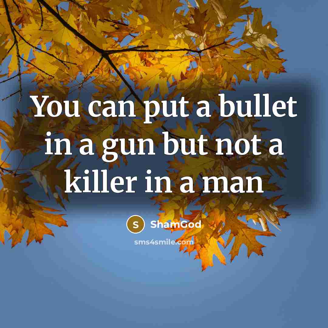 “You can put a bullet in a gun but not a killer in a man” quote by ShamGod