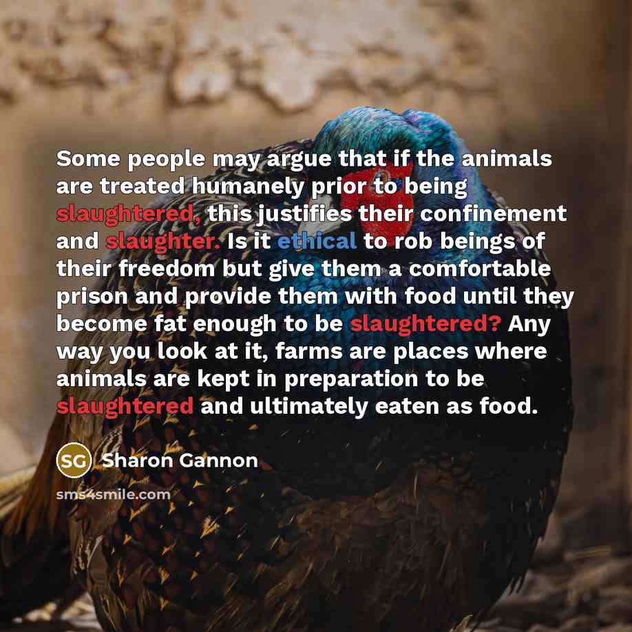 “Some people may argue that if the animals are treated…” quote by Sharon Gannon