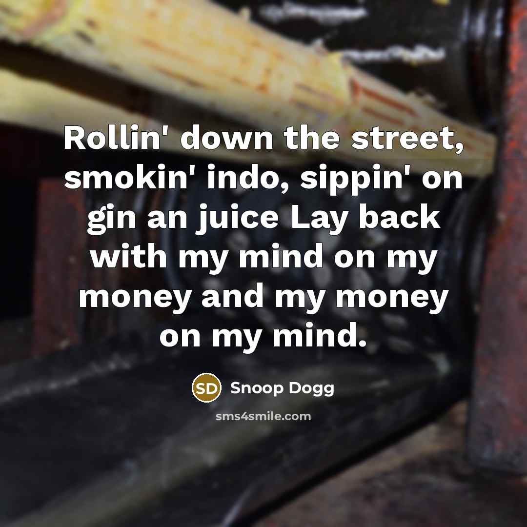 “Rollin' down the street, smokin' indo, sippin' on gin an…” quote by Snoop Dogg