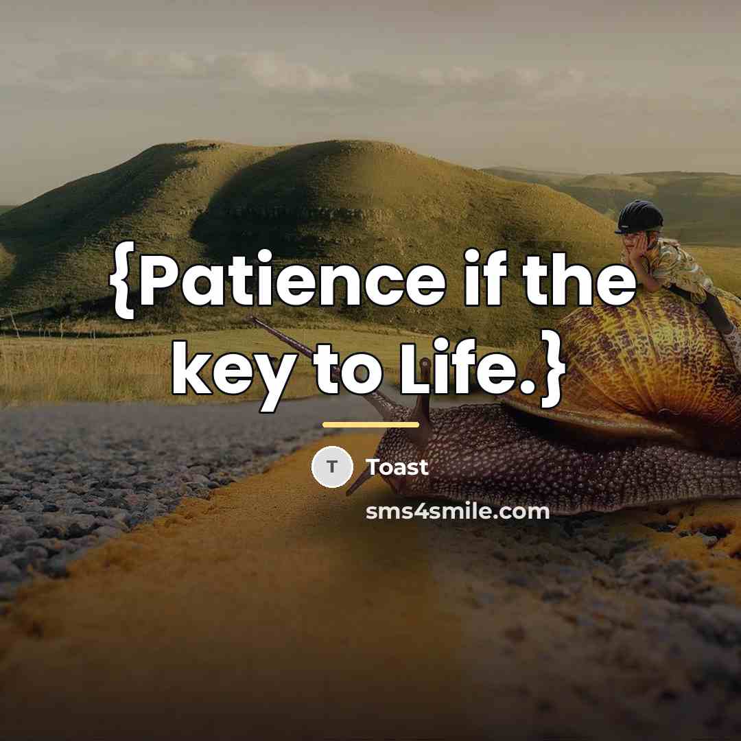 “{Patience if the key to Life.}…” quote by Toast