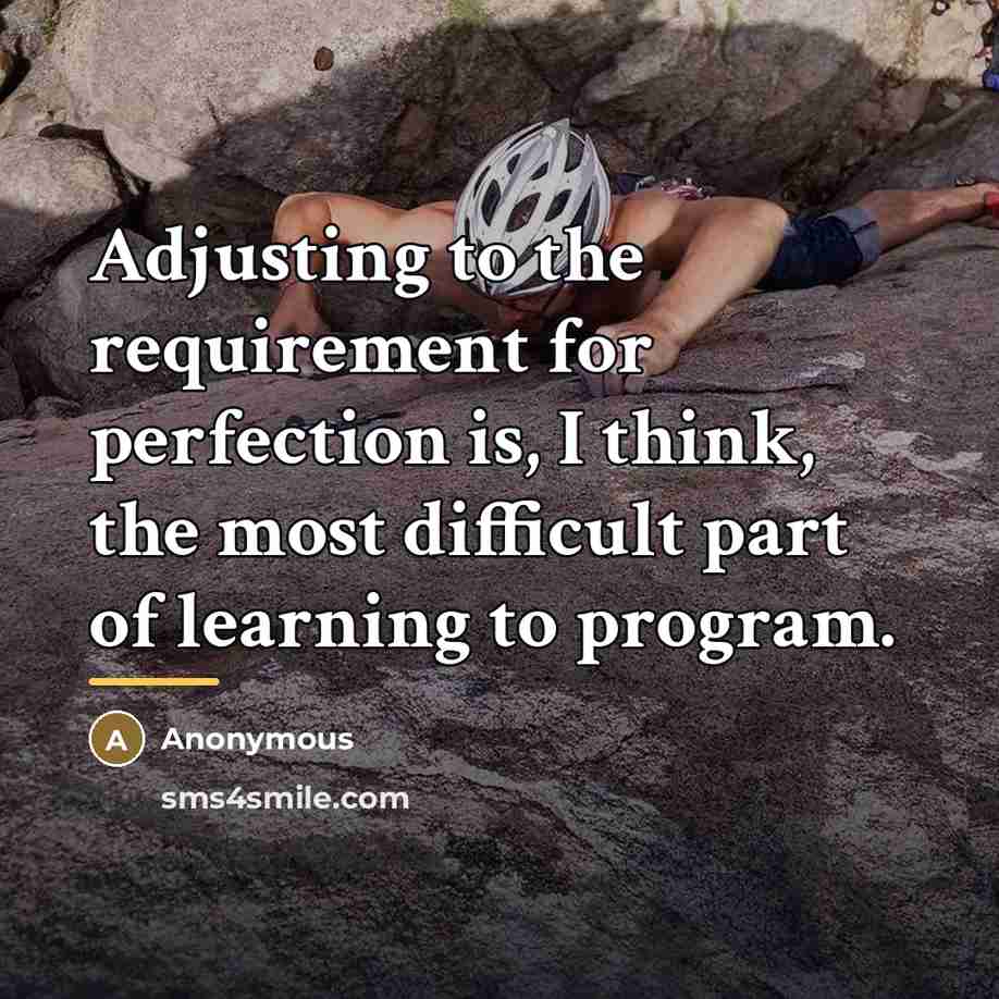 “Adjusting to the requirement for perfection is, I think, the…” quote by Anonymous