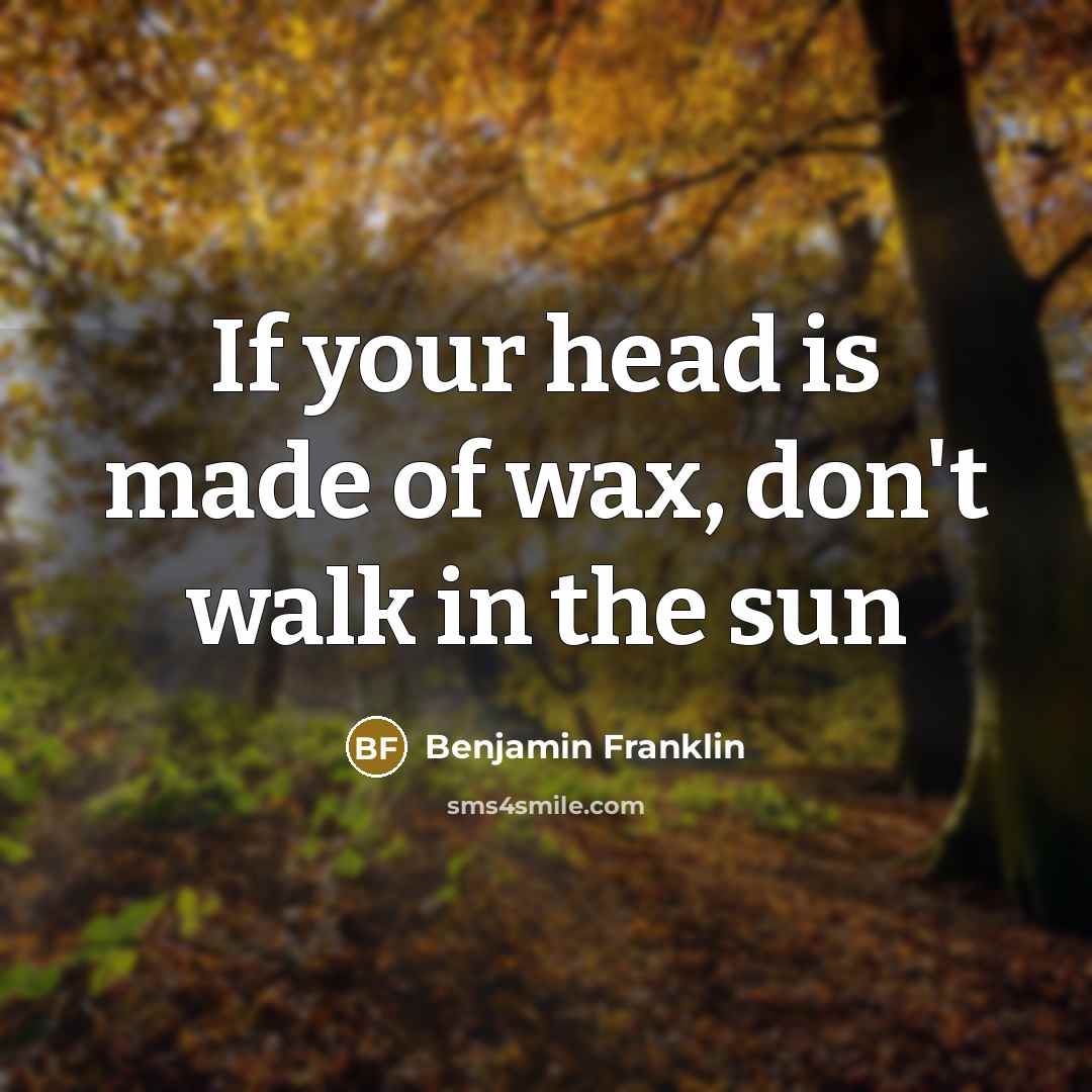“If your head is made of wax, don't walk in the sun” quote by Benjamin Franklin