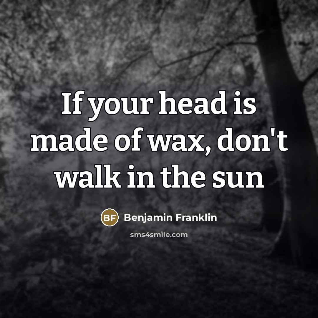 “If your head is made of wax, don't walk in…” quote by Benjamin Franklin
