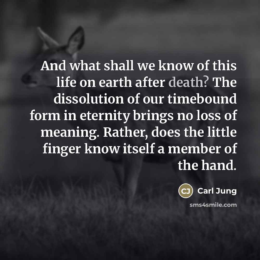 “And what shall we know of this life on earth…” quote by Carl Jung