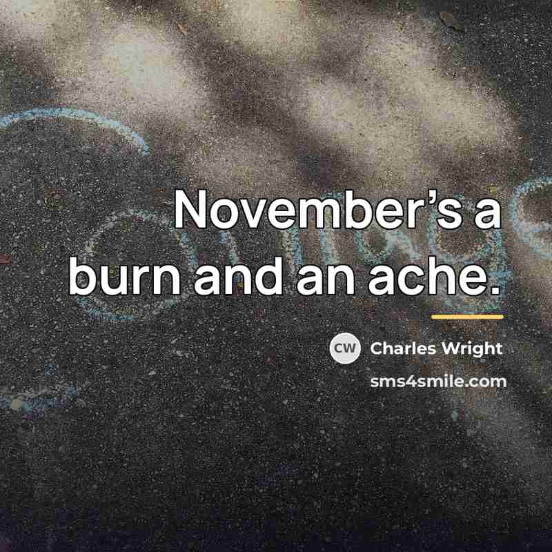 “November’s a burn and an ache.…” quote by Charles Wright