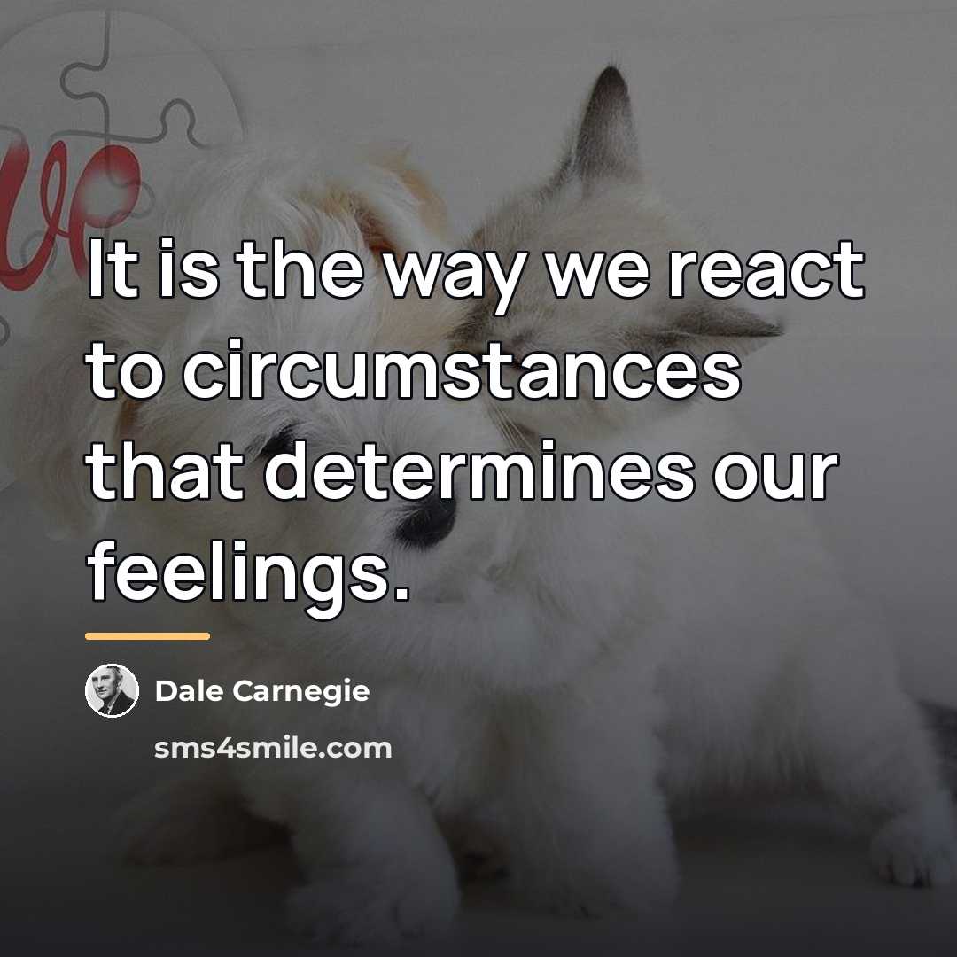 “It is the way we react to circumstances that determines…” quote by Dale Carnegie