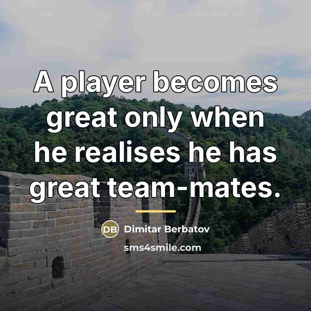 “A player becomes great only when he realises he has…” quote by Dimitar Berbatov