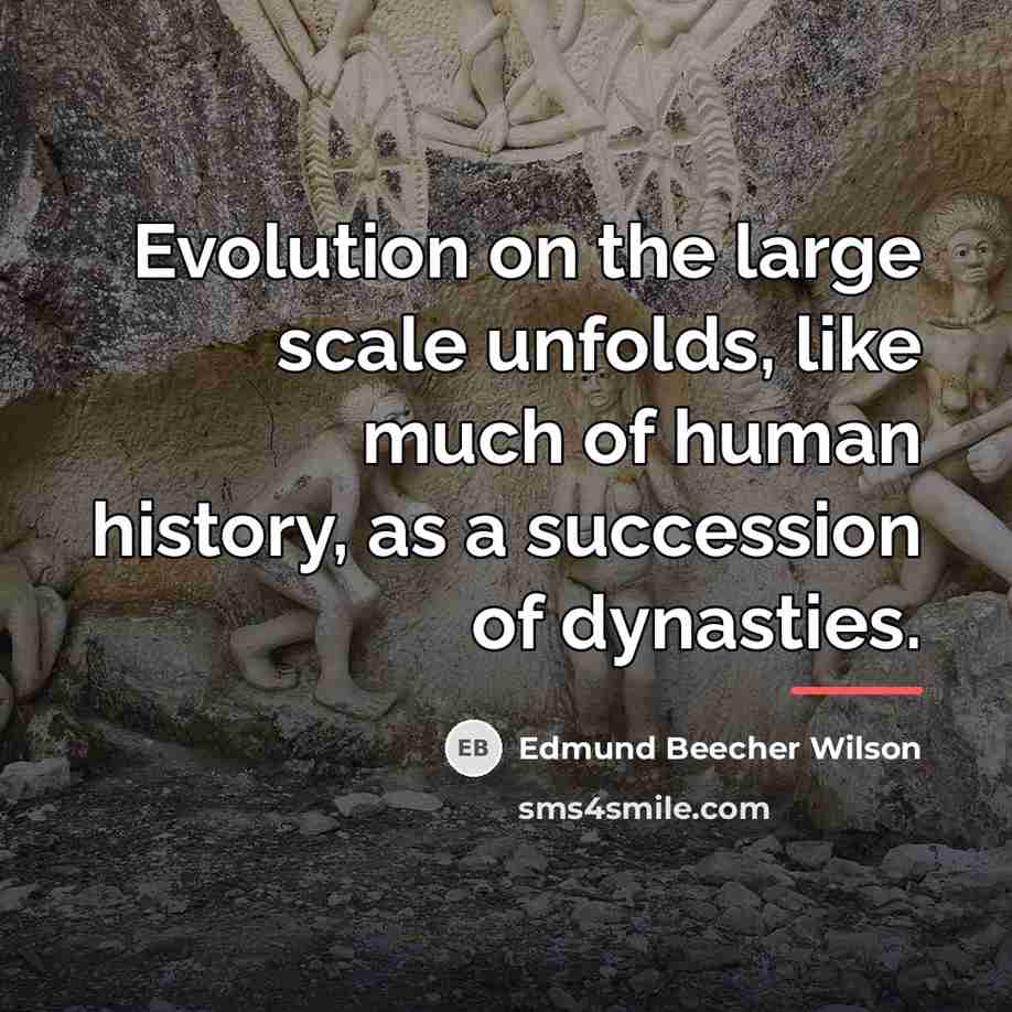 “Evolution on the large scale unfolds, like much of human…” quote by Edmund Beecher Wilson