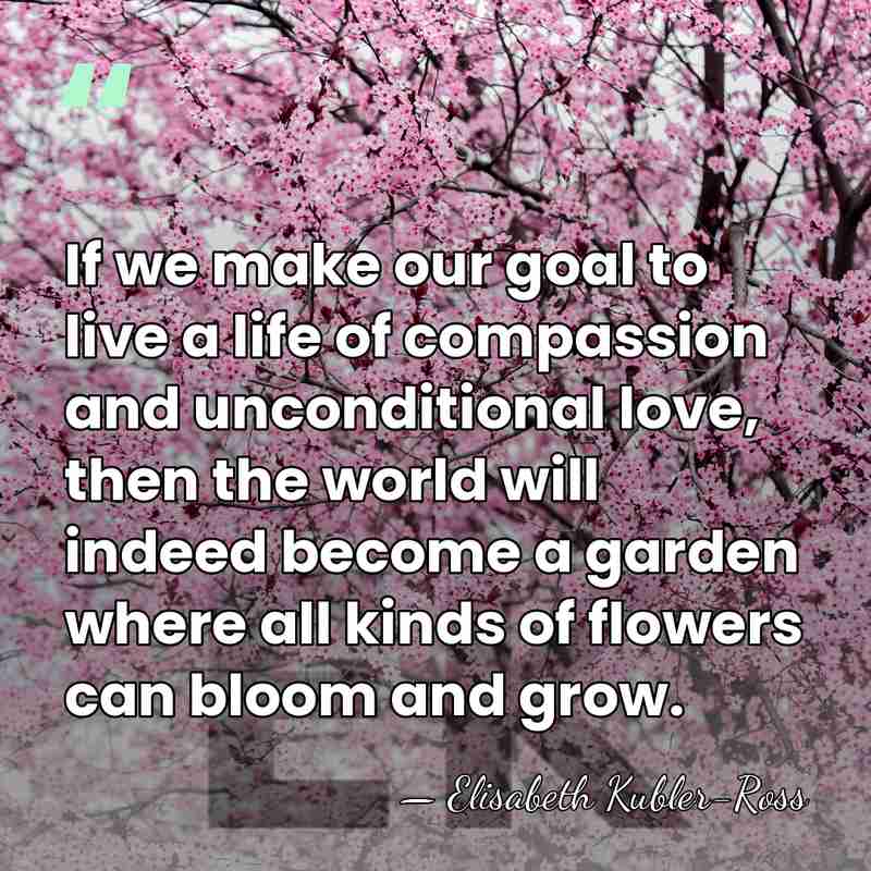 If we make our goal to live a life of compassion and&hellip; - Elisabeth Kubler-Ross