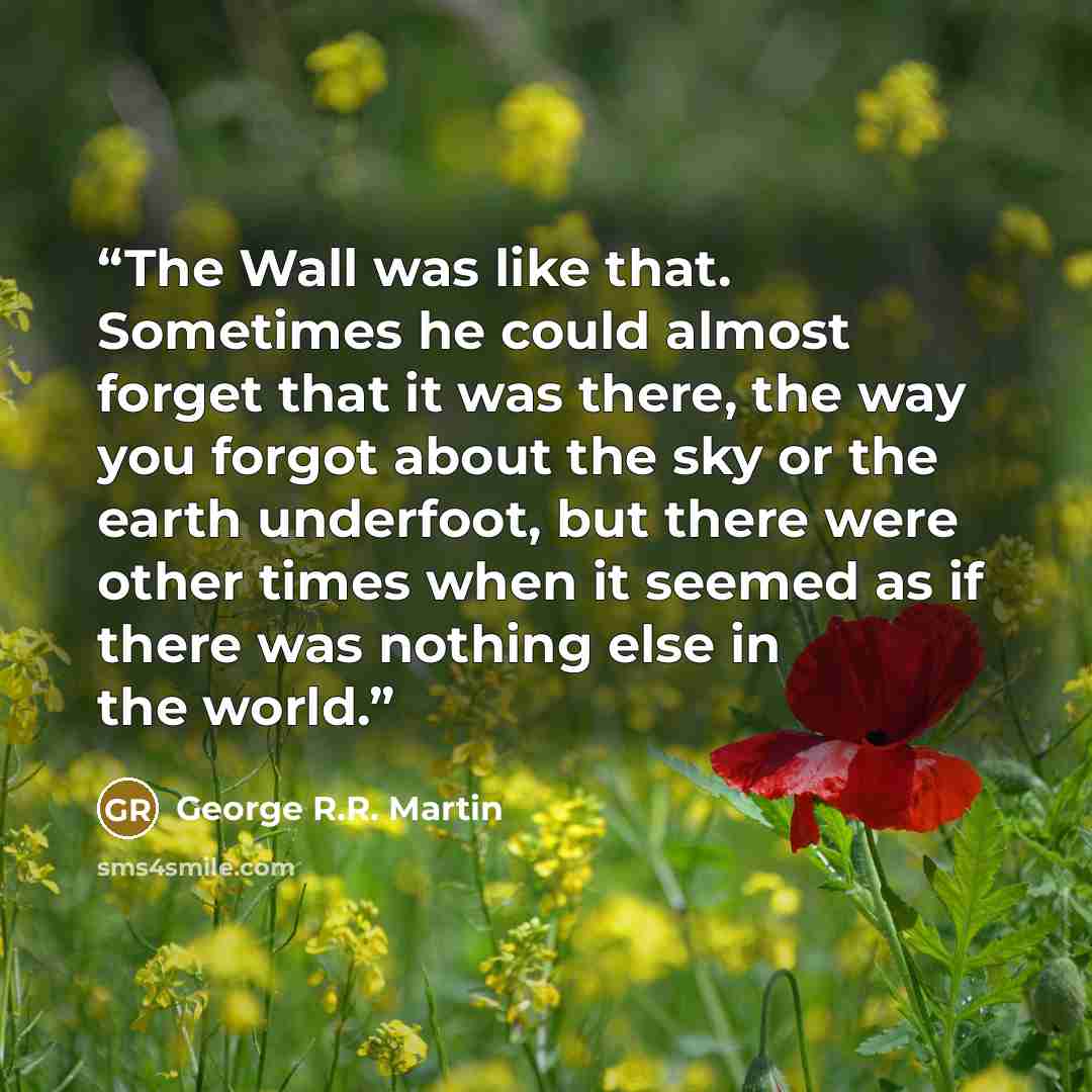“The Wall was like that. Sometimes he could almost forget that it was there, the way you forgot about the sky or the earth underfoot, but there were other times when it seemed as if there was nothing else in the world.” quote by George R.R. Martin