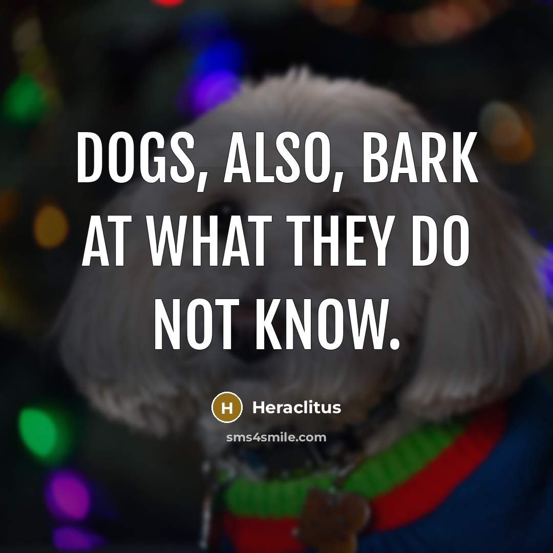 “Dogs, also, bark at what they do not know.…” quote by Heraclitus