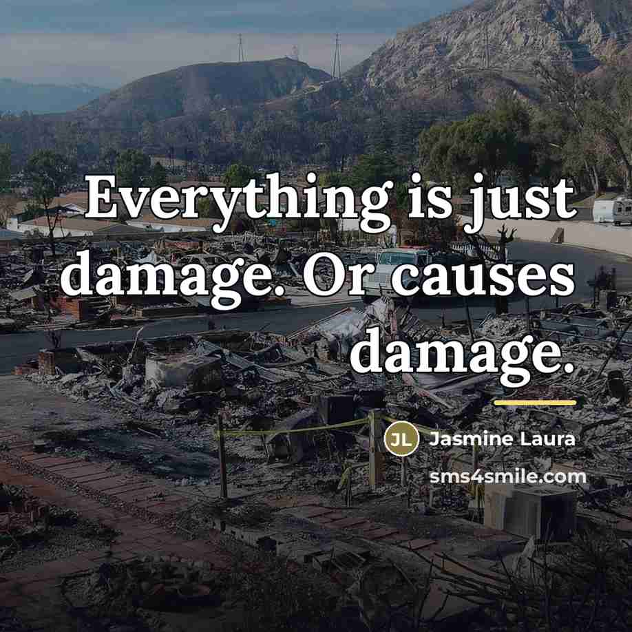 “Everything is just damage. Or causes damage.…” quote by Jasmine Laura