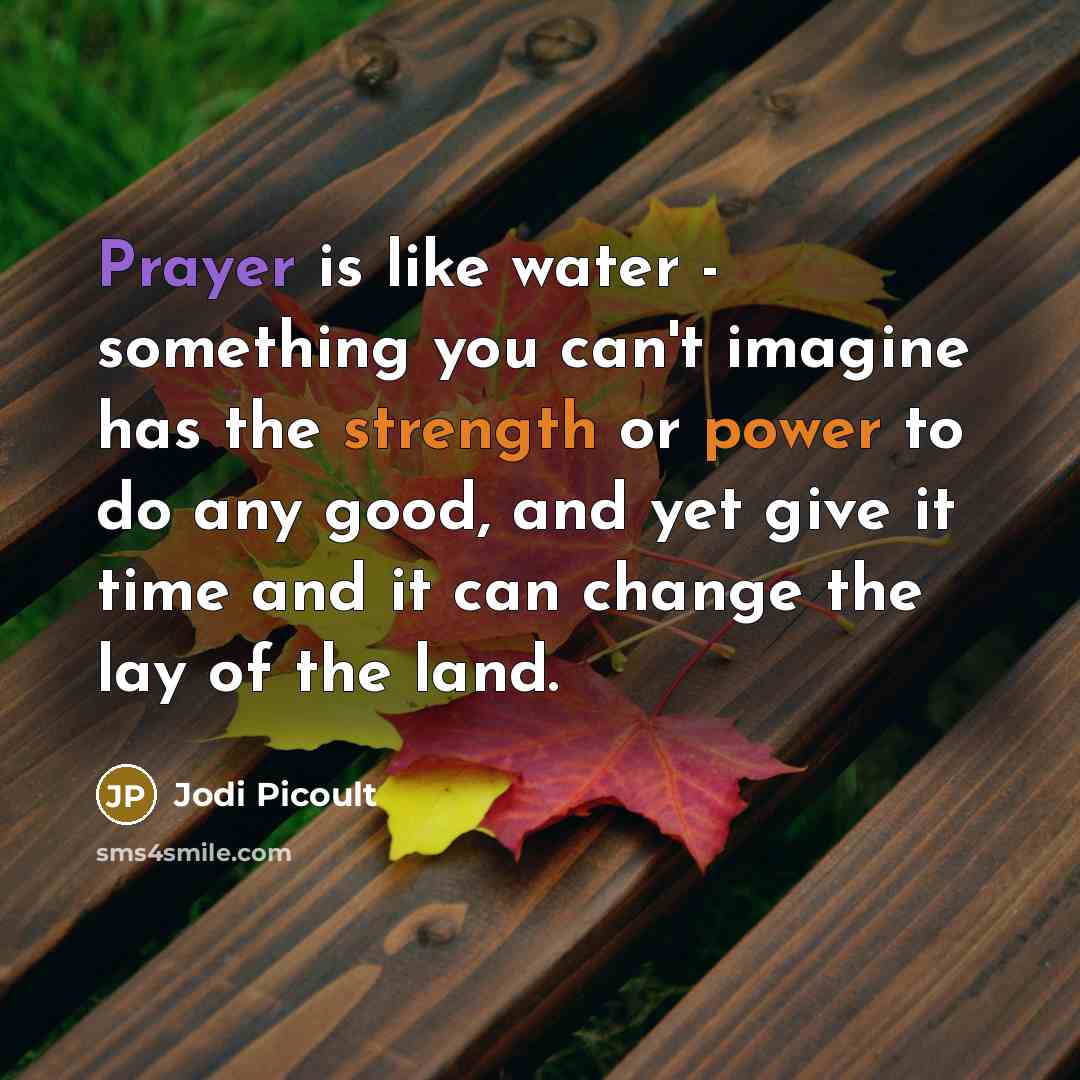 “Prayer is like water - something you can't imagine has the strength or power to do any good, and yet give it time and it can change the lay of the land.” quote by Jodi Picoult