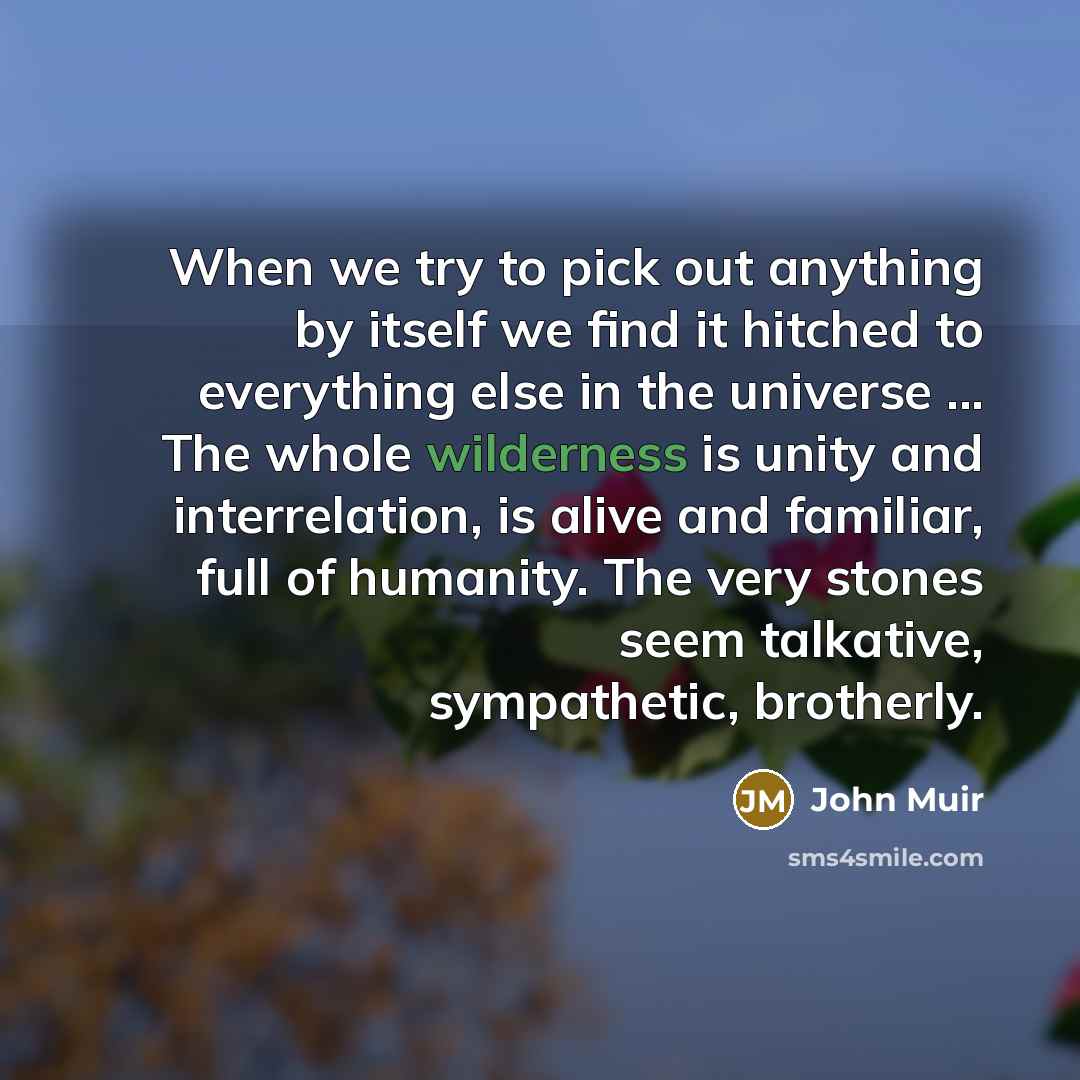 “When we try to pick out anything by itself we…” quote by John Muir