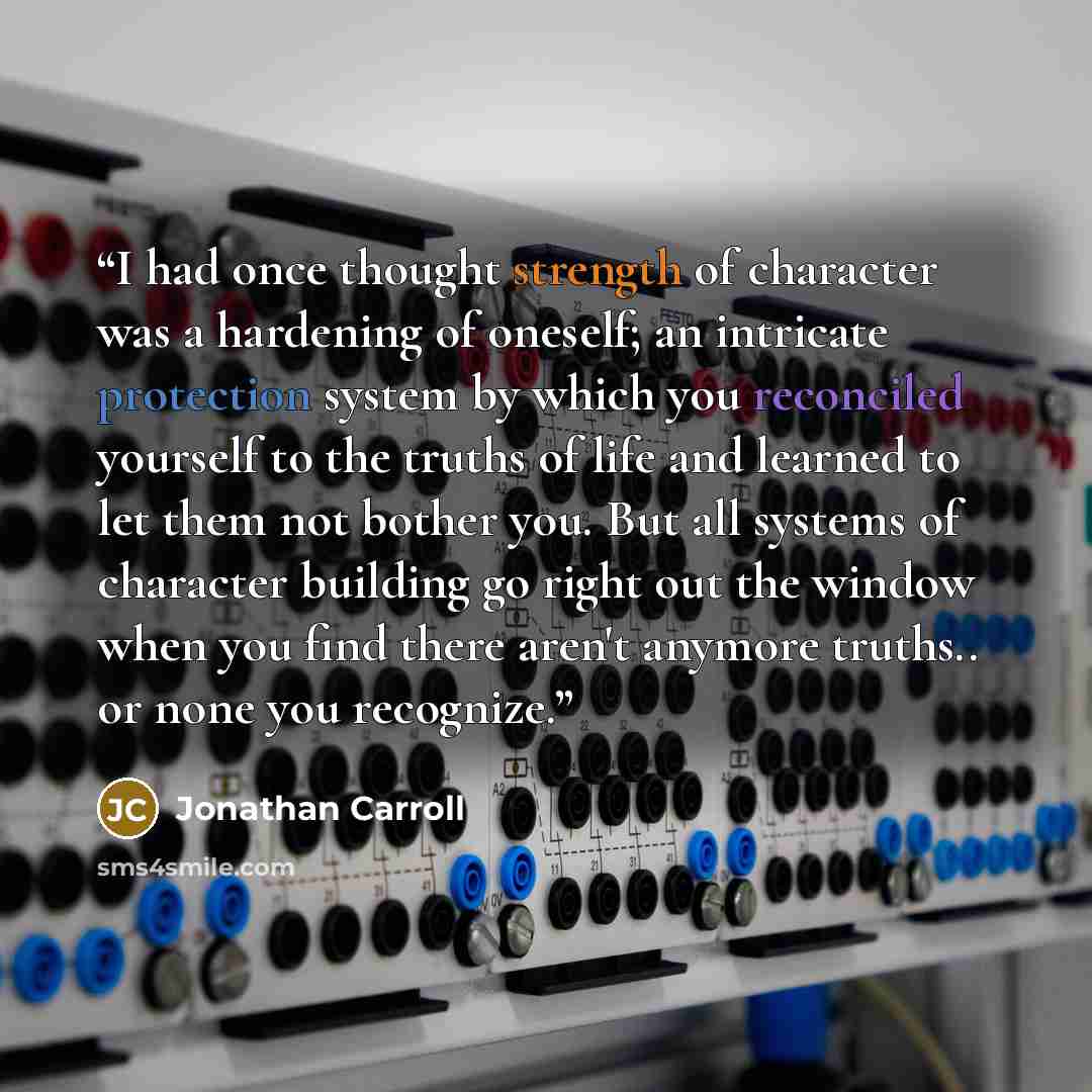 “I had once thought strength of character was a hardening of oneself; an intricate protection system by which you reconciled yourself to the truths of life and learned to let them not bother you. But all systems of character building go right out the window when you find there aren't anymore…” quote by Jonathan Carroll