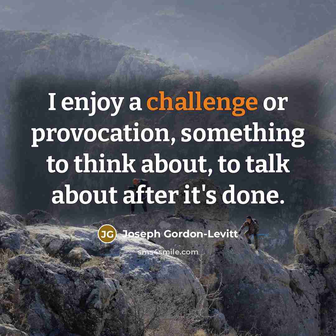 “I enjoy a challenge or provocation, something to think about, to talk about after it's done.” quote by Joseph Gordon-Levitt