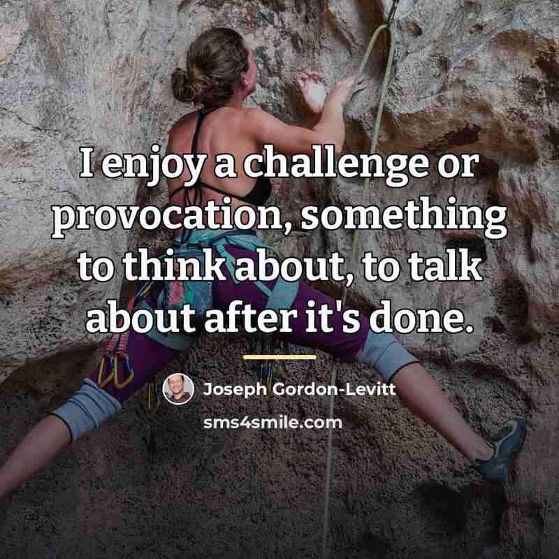 “I enjoy a challenge or provocation, something to think about,…” quote by Joseph Gordon-Levitt