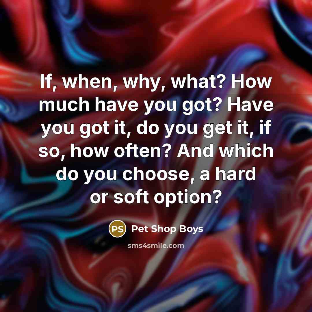 “If, when, why, what? How much have you got? Have you got it, do you get it, if so, how often? And which do you choose, a hard or soft option?” quote by Pet Shop Boys